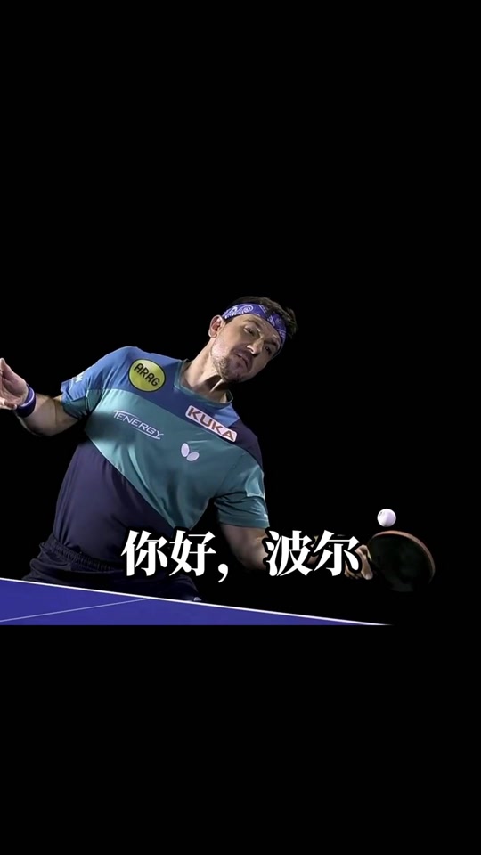 包含奥地利乒乓球队轻取法国乒乓球队，波尔高光表现的词条