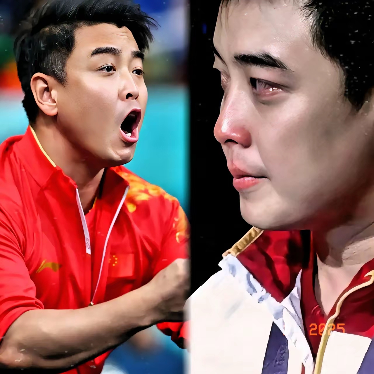 法国乒乓球队血洗日本乒乓球队，王皓高光表现的简单介绍