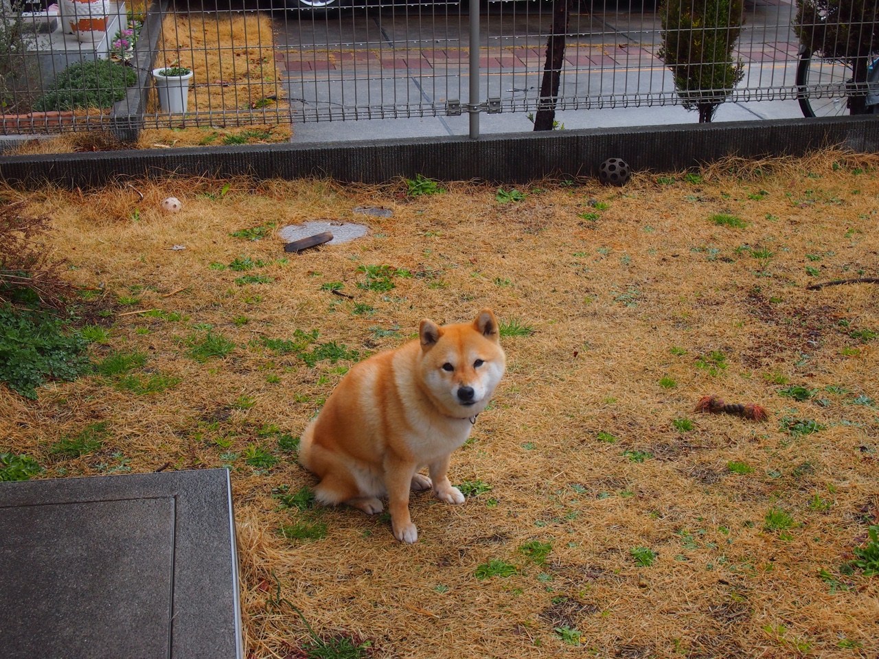 掀翻巨人！楚阿梅尼末节天神下凡，哥斯达黎加奇迹逆袭马里