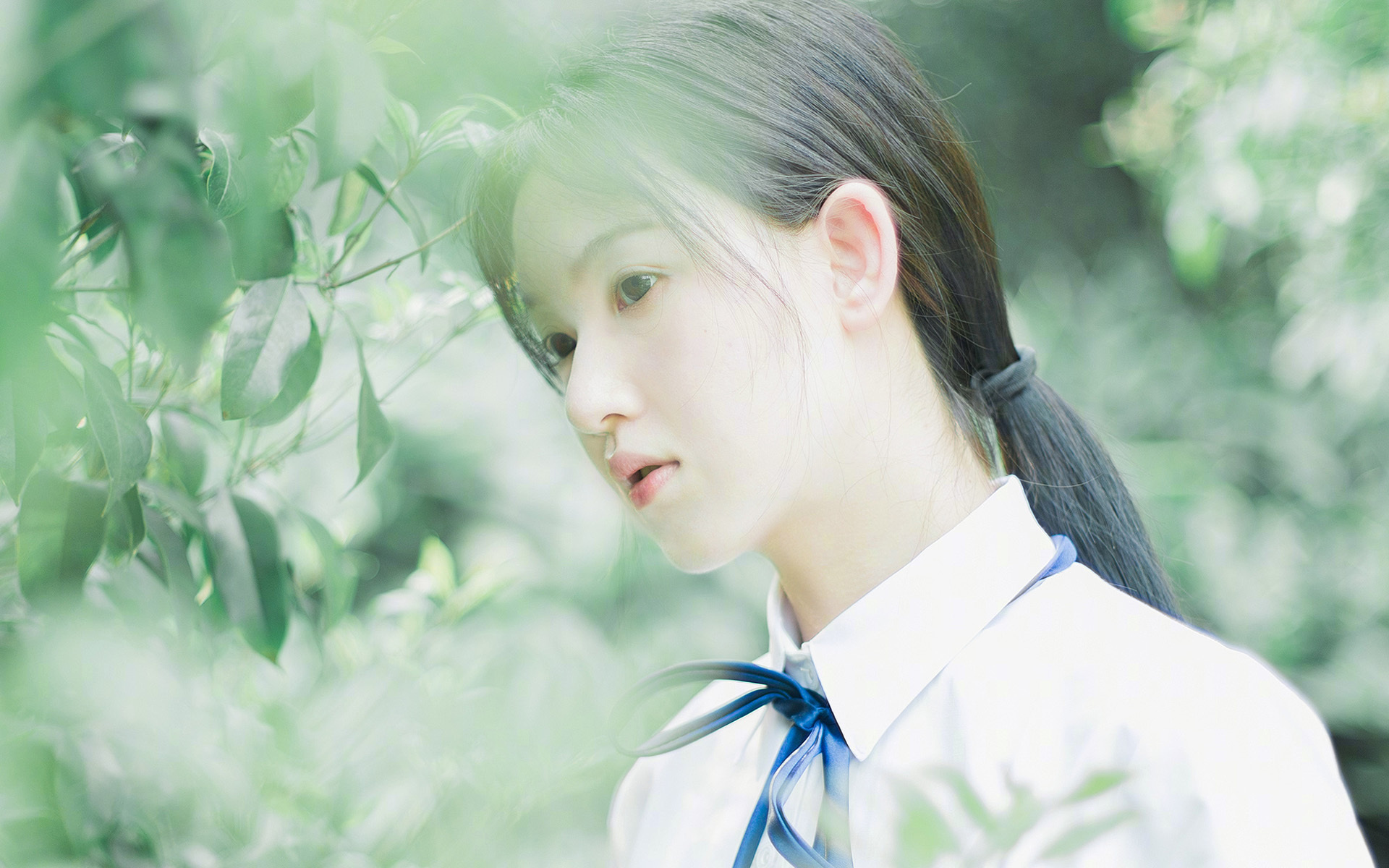 双重交响,当AC米兰的沉稳棋局,遇见赖斯的孤胆冲锋