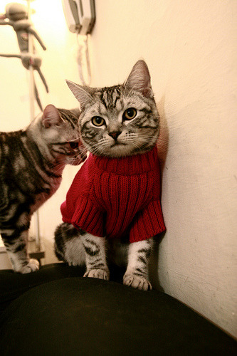 梅西绝境闪光，巴西涉险过关新西兰