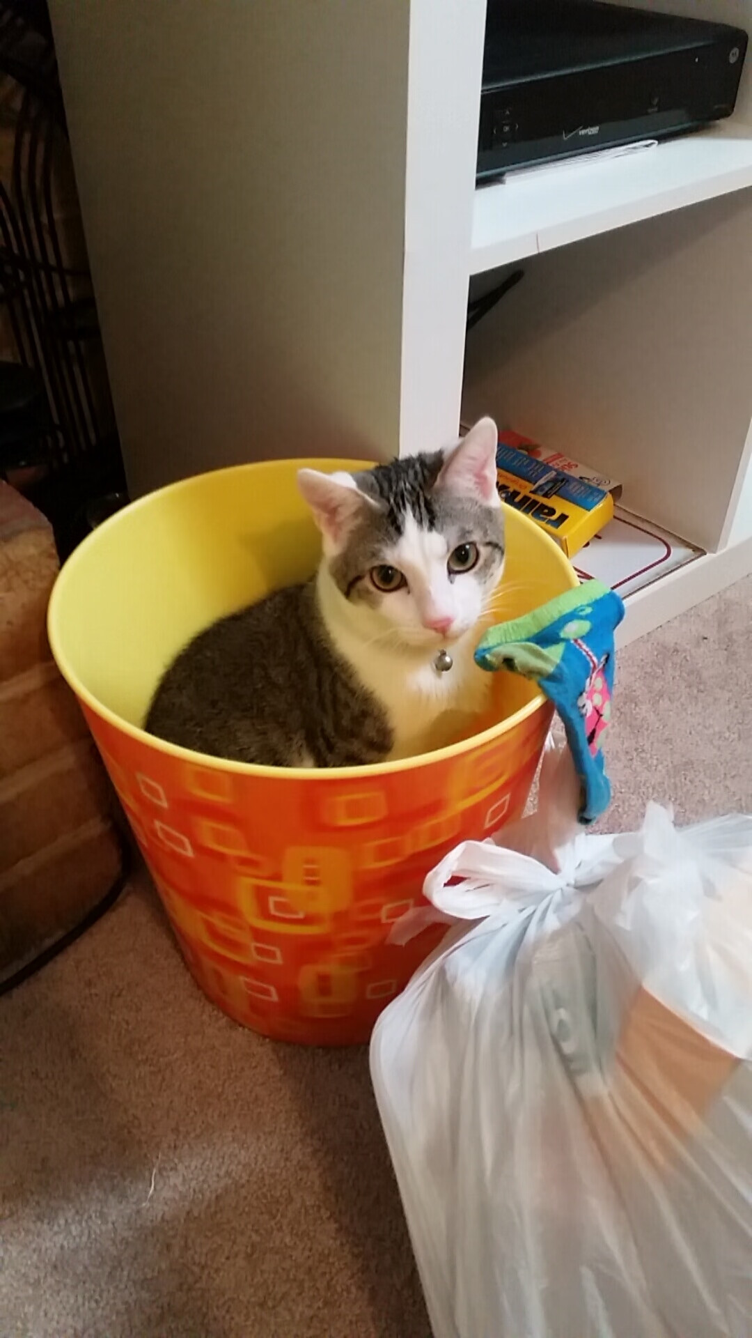 双线狂飙，西班牙在马赛的绿茵加冕与格纳布里在F1赛道的终极接管